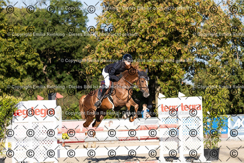 CL5A4399 | Emilia Reinking Fotografie - Realisiert mit Pictrs.com