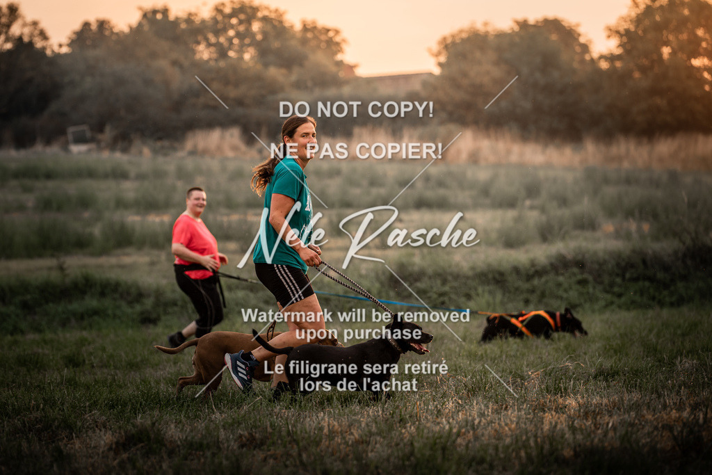 nelerasche_slaw24Fr1_19 | nelerasche