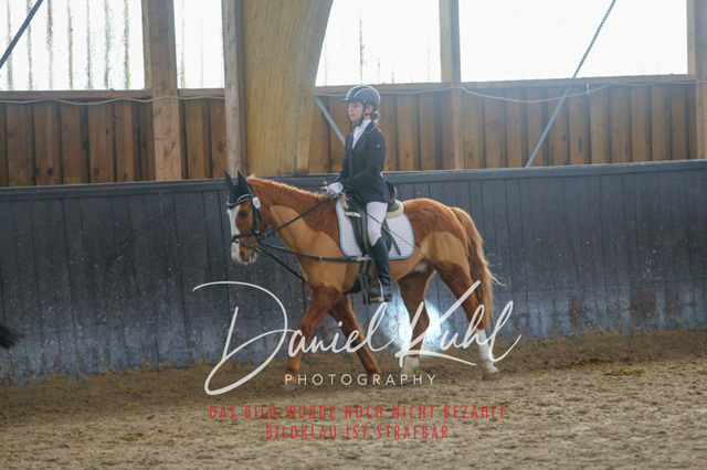 IMG_1516 | Turniersportfotografie; Pferdefotografie; Dressurfotografie