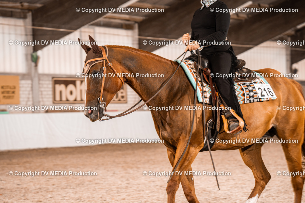 ZH100202 | dv-media-shop - Realisiert mit Pictrs.com