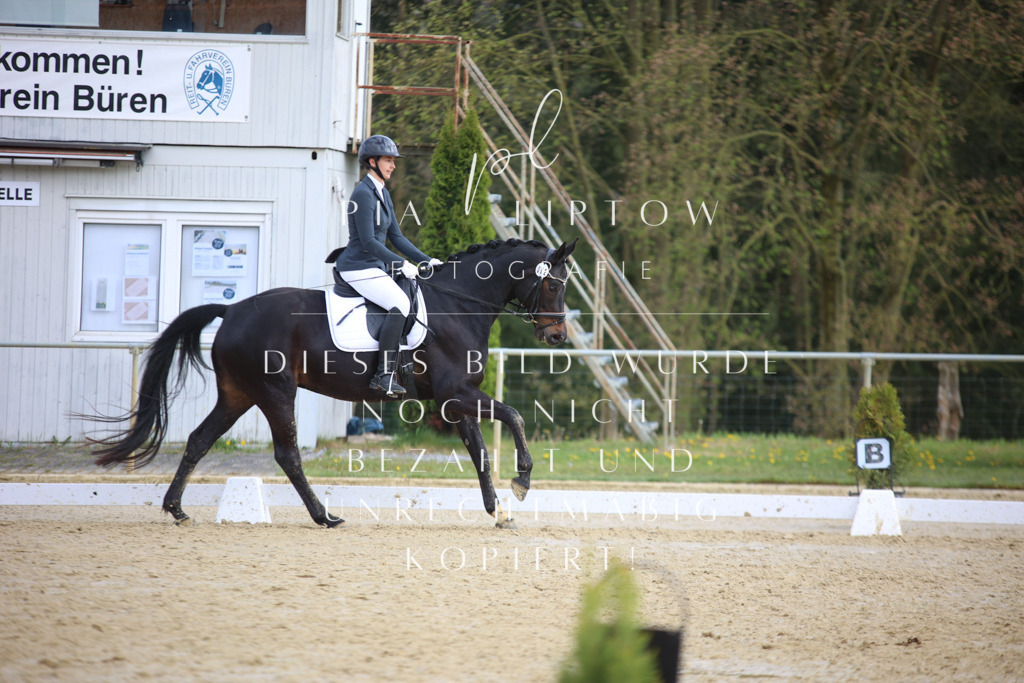 IMGT6385 | pl-fotografie