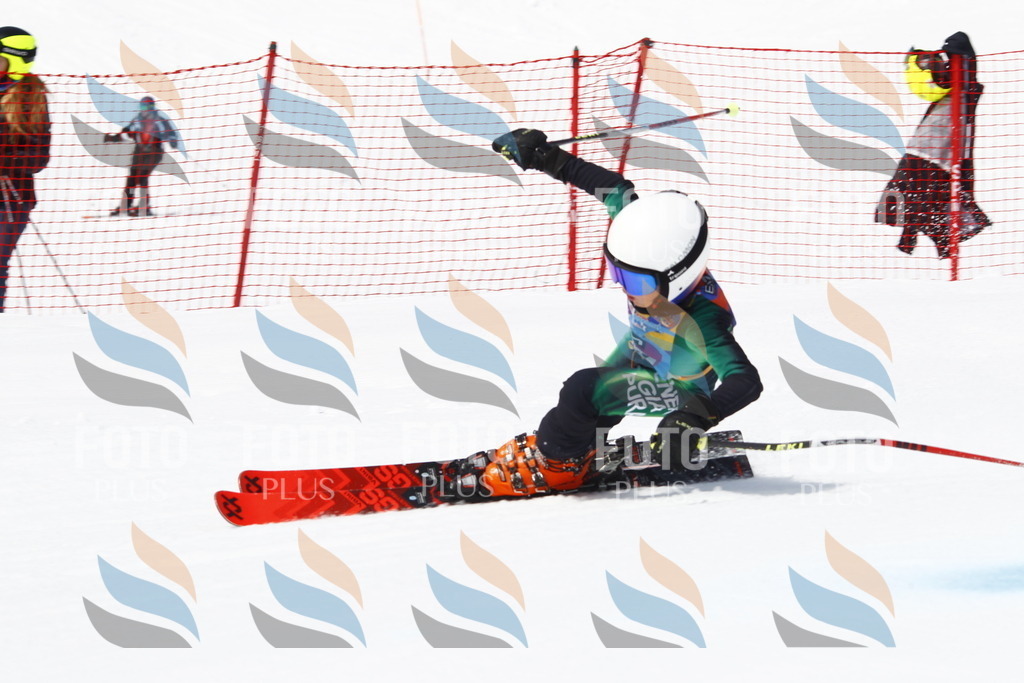 _U3G5772 | holidayphoto