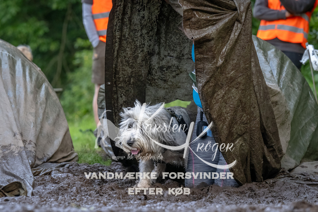 1730_ZZ92433-Bearbeitet | kk-dogfotos