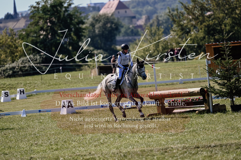 DSC_1398 | Pferde- und Turnierfotografie in Westsachsen. Pferdeportraits, Auftragszeichnungen und intuitive Kunst.