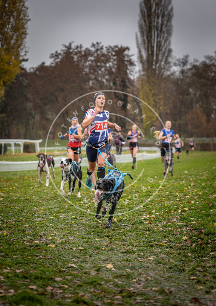 CaniXpix_DV3A9031 | Hundefotografie, Tierfotograf, Pfotenfotografie, Fotoshooting Hund, Hunde Portrait, Hundesport, Hundeportraits, Heideshooting, Hunde, Sportfotograf, Hundefotograf, Turnierhundsport, THS,  - Realisiert mit Pictrs.com