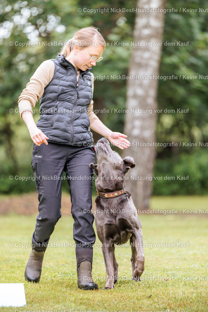 RO-Blumenthal-2026-Nickbest-Hundefotografie-1011 | Dein Hund! Dein Moment! Deine Erinnerungen! Hundefotografie in Bremen Blumenthal. Ich fange die besonderen Momente deines Vierbeiners ein – ob Indoor mit Blitzanlage oder in der freien Natur. Sicher dir dein Moment und dein Termin für eure Erinnerungen.