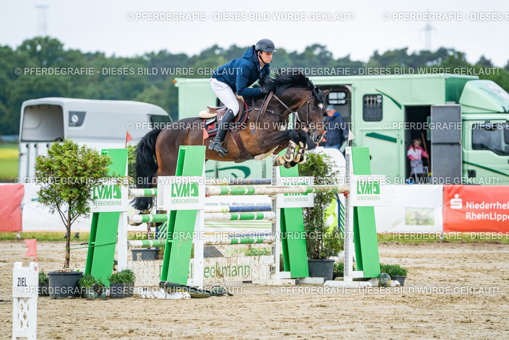 DSC03657 | Pferdegrafie