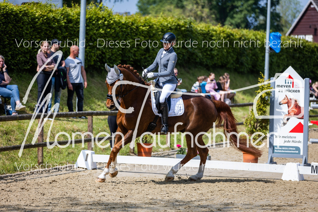 Donop24-L-Dre-041 | MomenTaufnahmen Pferdesportfotos