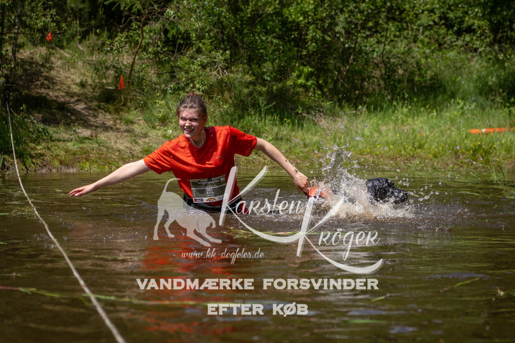 1316DKK994290 | kk-dogfotos