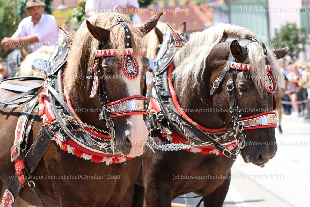 IMG_0569 | fotos-sportlich-belichtet - Realisiert mit Pictrs.com