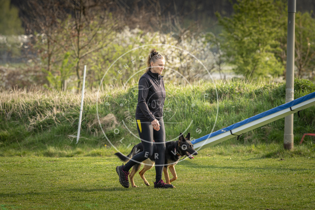 Pfotenfotografie_DV3A4806 | Hundefotografie, Tierfotograf, Pfotenfotografie, Fotoshooting Hund, Hunde Portrait, Hundesport, Hundeportraits, Heideshooting, Hunde, Sportfotograf, Hundefotograf, Turnierhundsport, THS,  - Realisiert mit Pictrs.com