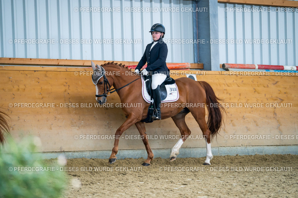 DSC05299 | Pferdegrafie