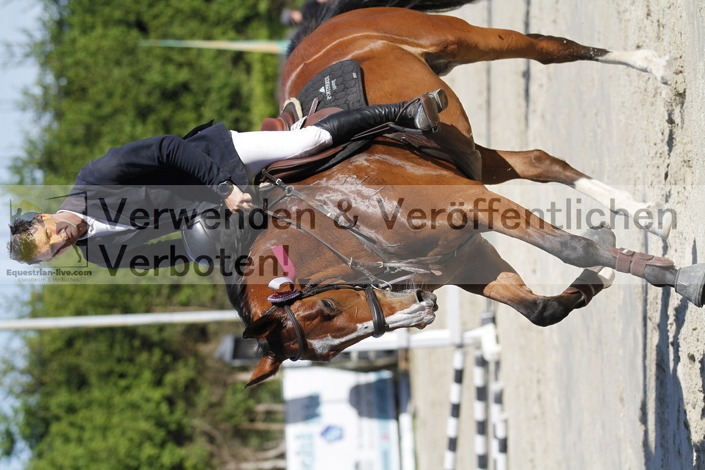 _MG_1040 | equestrian-live-com