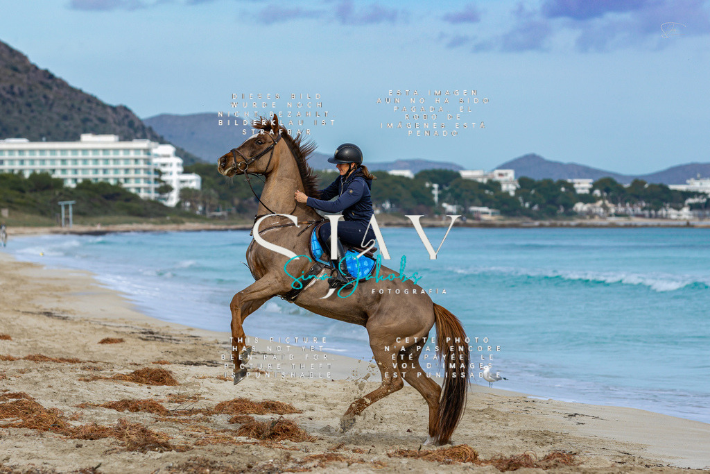 IMG_2614 | s-jay-photography - Realisiert mit Pictrs.com