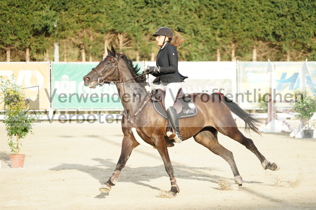 DSC01602 | equestrian-live-com