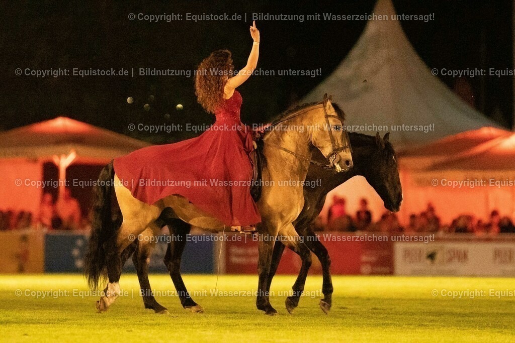 20230526_Pferdenacht_1460 | equistock