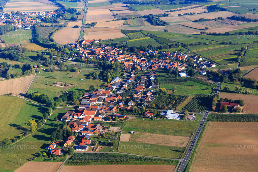 Luftbild: Dorfansicht aus Nordwesten in Oberhausen im Bundesland Rheinland-Pfalz in Deutschland. Foto: IMG_095308.jpg vom 16.10.2016 durch Werner Riehm/FLY-FOTO.de