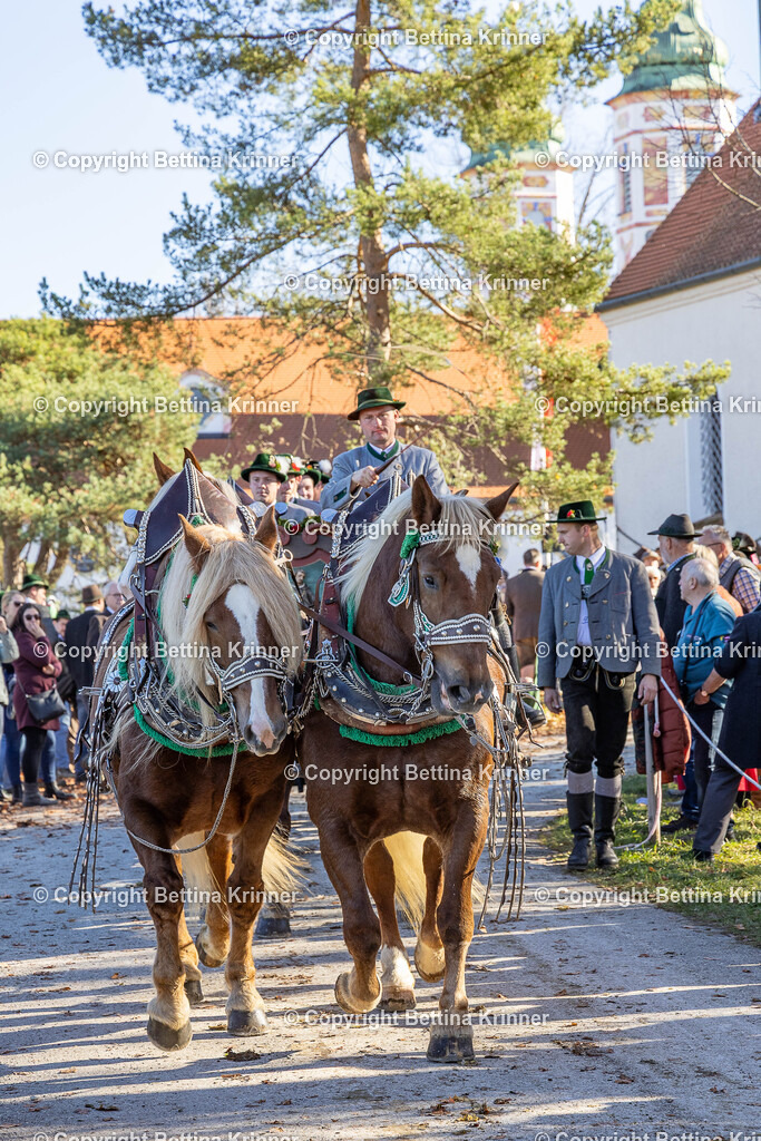 LBT25-1060 | foto-bettina-krinner - Realisiert mit Pictrs.com