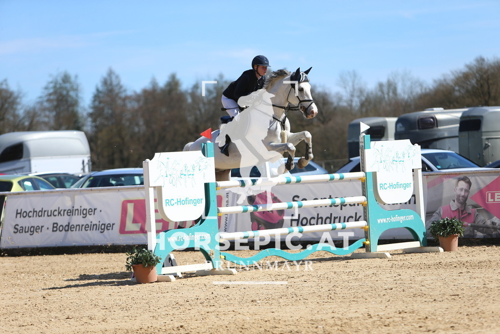 DL2Q5260 | Willkommen bei Brunnmayr - Design & Fotografie – Ihrem Spezialisten für Reitturniere und Pferdeveranstaltungen in Oberösterreich, Salzburg und Bayern! Seit über 17 Jahren sind wir leidenschaftlich dabei.