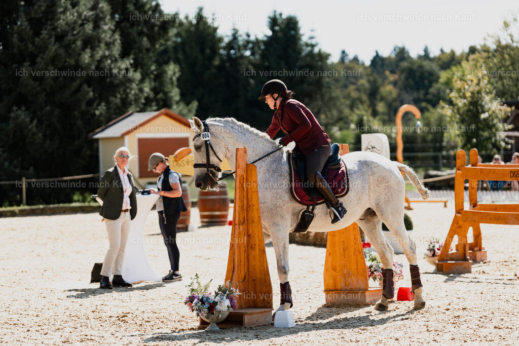Kelly4_FHC2025-08915 | working equitationturnier fotograf videograf stoibphotography marixx film working equitation deutschland reitsport turnierfotografie eventfotografie equestrian events