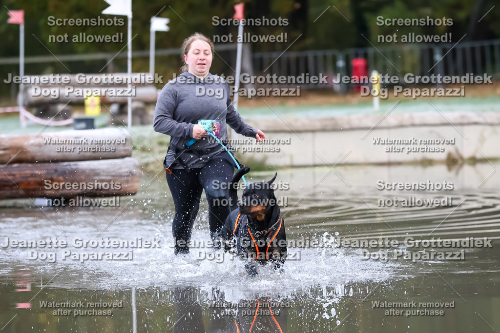 Dog Paparazzi - Strongdog 10-25-6076 | Dog Paparazzi Jeanette Grottendiek Fotografie & Videografie - Realisiert mit Pictrs.com