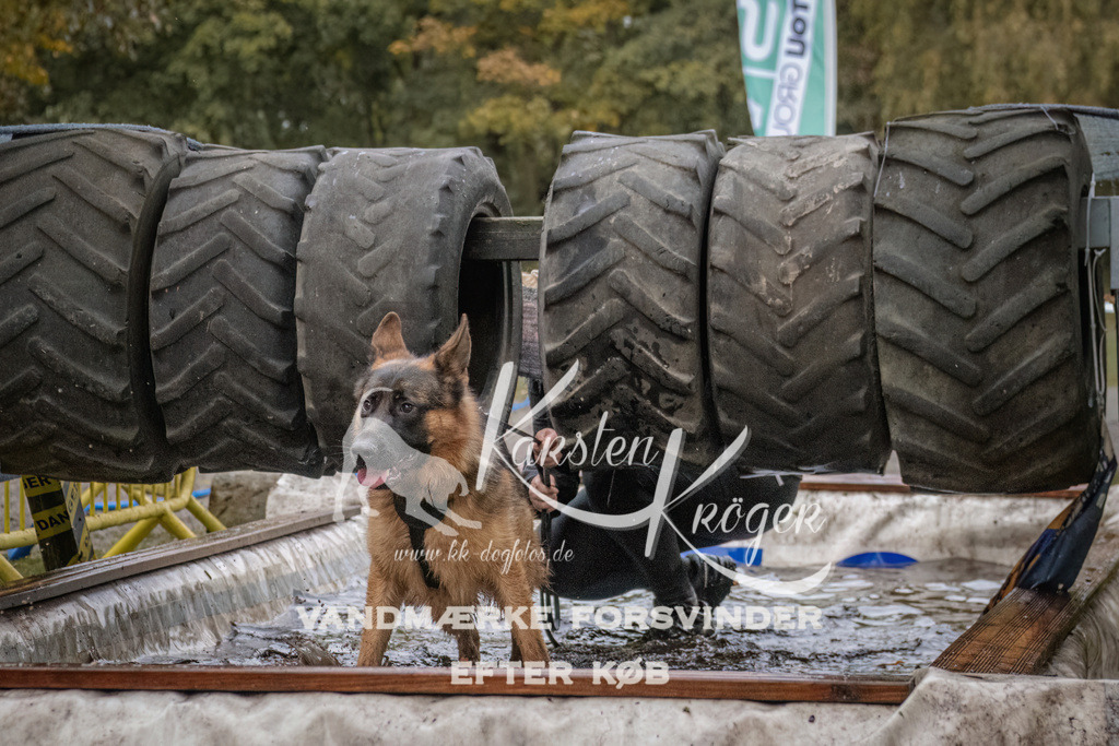 1631_ZZ93853 | kk-dogfotos