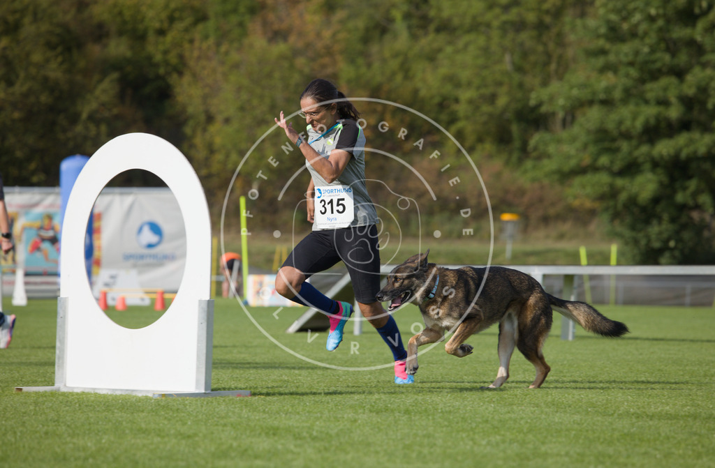 0L8A3839 | Hundefotografie, Tierfotograf, Pfotenfotografie, Fotoshooting Hund, Hunde Portrait, Hundesport, Hundeportraits, Heideshooting, Hunde, Sportfotograf, Hundefotograf, Turnierhundsport, THS,  - Realisiert mit Pictrs.com