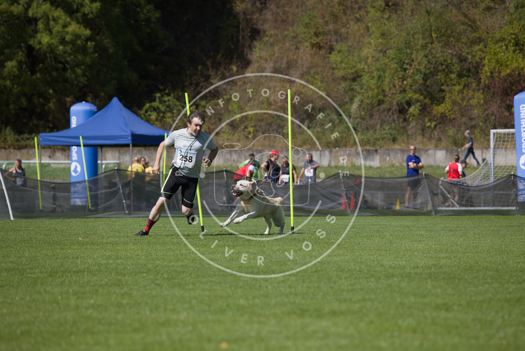 0L8A6408 | Hundefotografie, Tierfotograf, Pfotenfotografie, Fotoshooting Hund, Hunde Portrait, Hundesport, Hundeportraits, Heideshooting, Hunde, Sportfotograf, Hundefotograf, Turnierhundsport, THS,  - Realisiert mit Pictrs.com