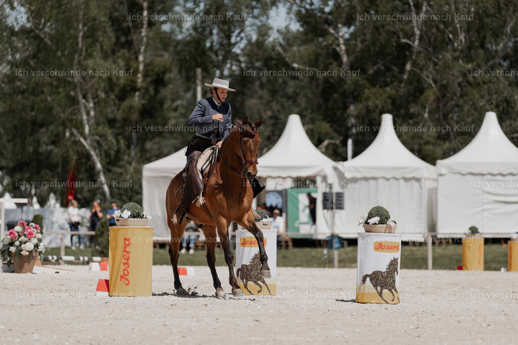 WE_ST_Stoib_313_PI2025_1294 | Pferd International München 2025