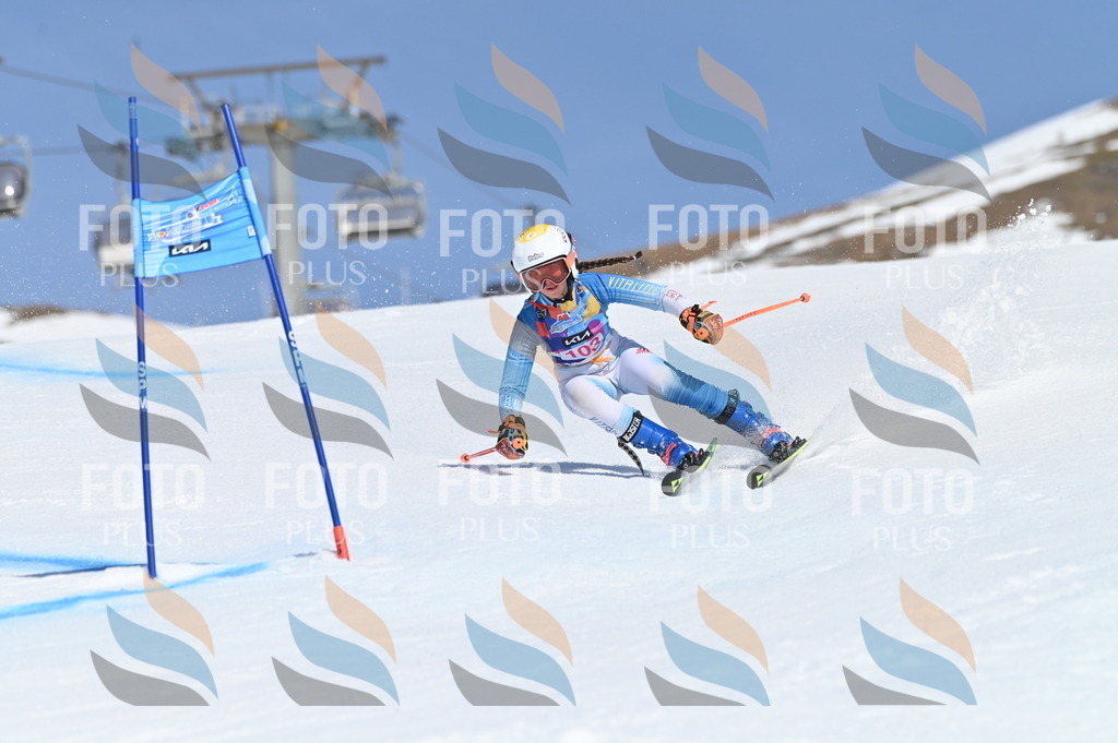 BGV_9510 | holidayphoto