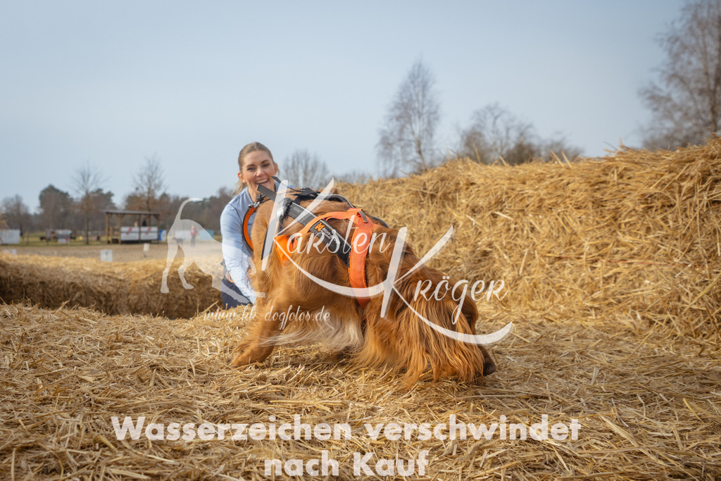 1021_ZZ94480 | kk-dogfotos
