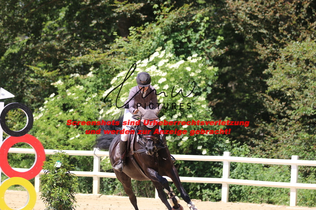 IMG_2369 | lmwpictures - Realisiert mit Pictrs.com