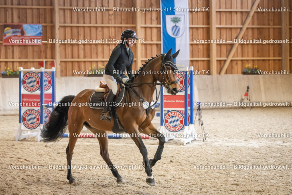 _D5A7522 | Emotionale Pferde- & People-Fotografie rund um Heidelberg, Leimen & Umgebung. Natürliche Fotos von Pferd, Mensch & Familie. Jetzt Termin sichern!