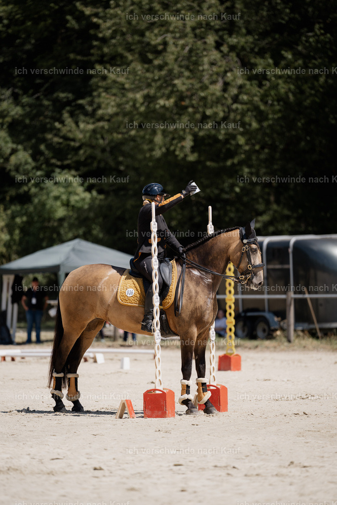 WM_ST_36_stoibphotography__SO11294 | working equitationturnier fotograf videograf stoibphotography marixx film working equitation deutschland reitsport turnierfotografie eventfotografie equestrian events