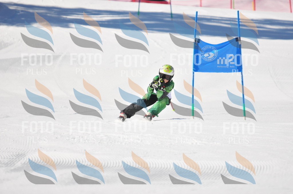 C3187 | holidayphoto