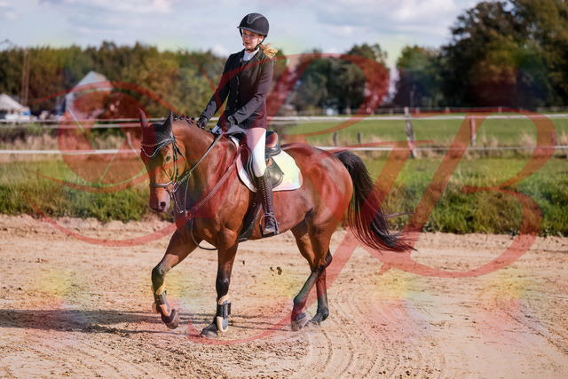 2026_10_03_Siefer-Hof_143554_Z81_05212598 | Professionelle Reitsport-, Turnier- und Eventfotografie von Robert Broda. Galerien mit ausgewählten und bearbeiteten Bildern direkt online ansehen und bestellen.