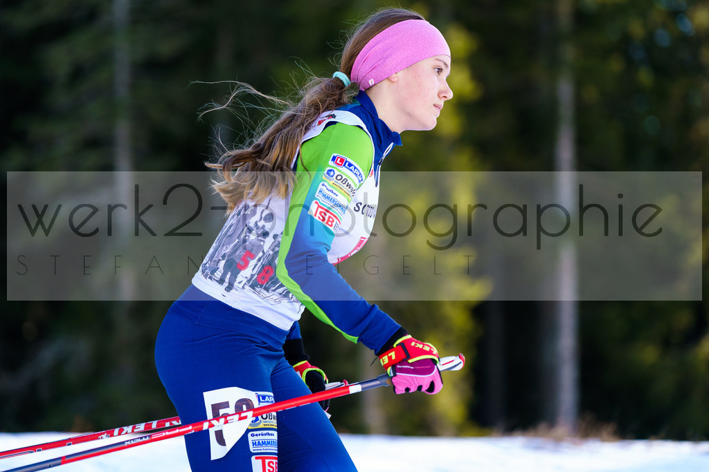 DSC Notschrei | 2. DSV E.INFRA Schülercup im Nordic-Center Notschrei am 17. bis 19. Januar 2025