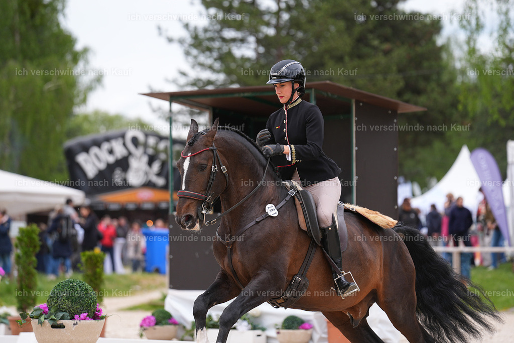PI26_DR_261_StoibphotographySIN09241.jpg | working equitationturnier fotograf videograf stoibphotography marixx film working equitation deutschland reitsport turnierfotografie eventfotografie equestrian events
