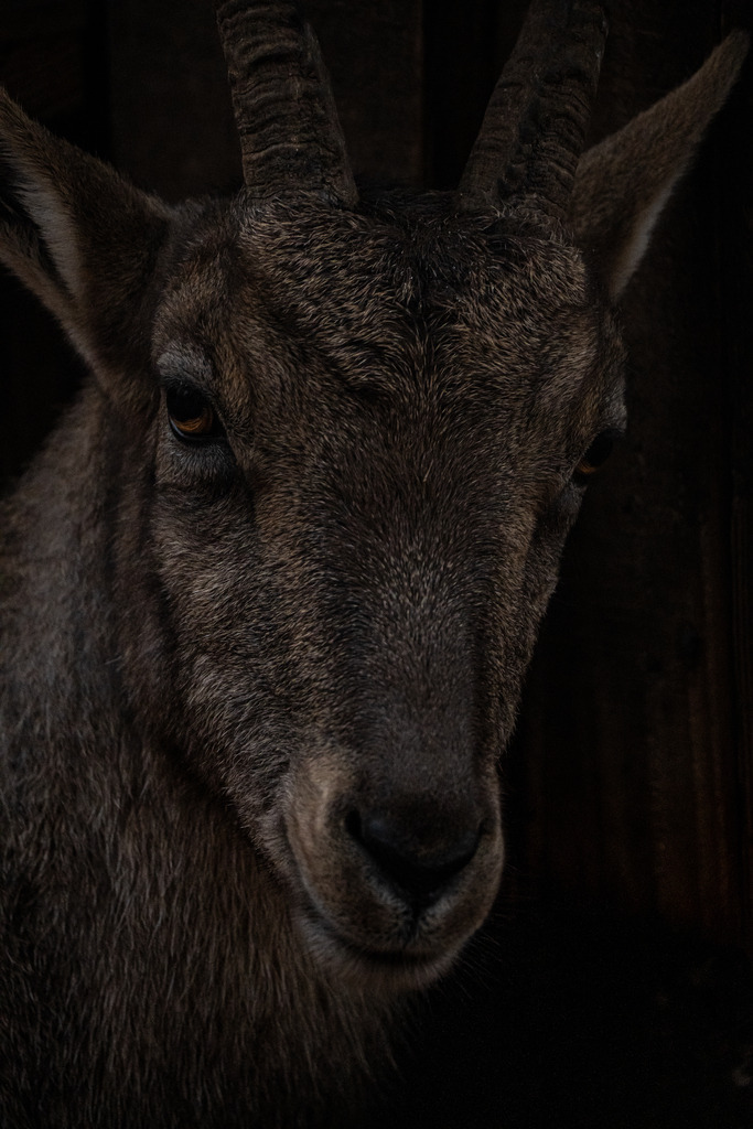 DSC04013 | <meta name="keywords" content="Bergbilder, Hochzeitsfotografie, Actionshootings, Fotografiearbeiten, Berglandschaften, Naturfotografie">

 - Realisiert mit Pictrs.com