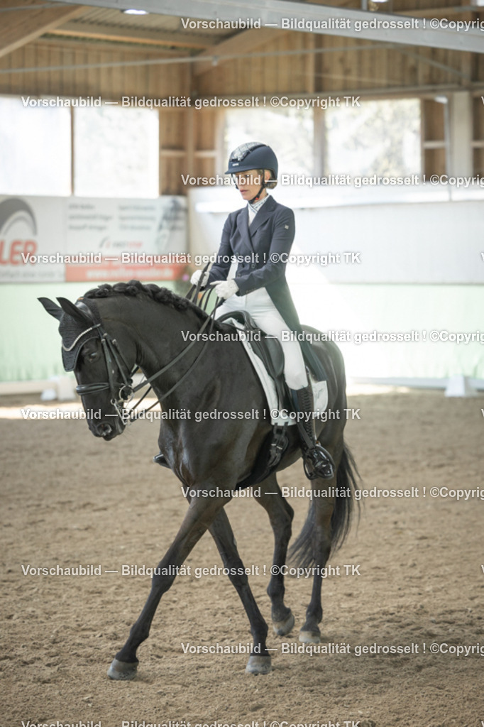 _D5A1133 | Emotionale Pferde- & People-Fotografie rund um Heidelberg, Leimen & Umgebung. Natürliche Fotos von Pferd, Mensch & Familie. Jetzt Termin sichern!