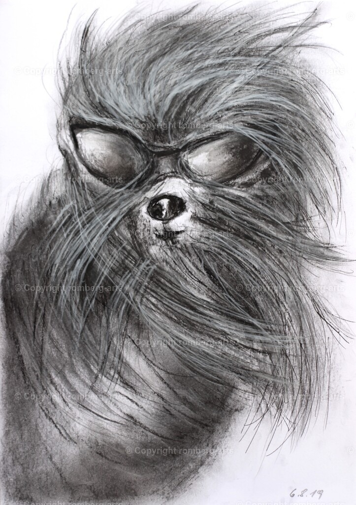 IMG_1610 (2) | romberg-arts, romberg-arts.de, www.romberg-arts.de, Foto_Online_Shop, Julia Fuhrmann, Köln, Fotos, Fotografie, Fotokunst, Kunstdrucke, Naturfotos, Aktfotos, Nacktfotos, schwarz_weiß_Fotos, Blumenfotos, Blumen, Tiere, Beton, Korrosion, Lächeln, Drucke