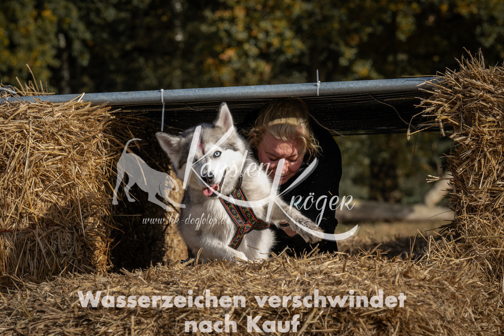 1154_ZZ92768 | kk-dogfotos