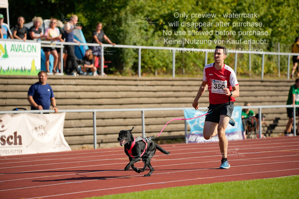 Sonntag_Staffel (175 von 336) | stephaniefillaphotographie - Realisiert mit Pictrs.com