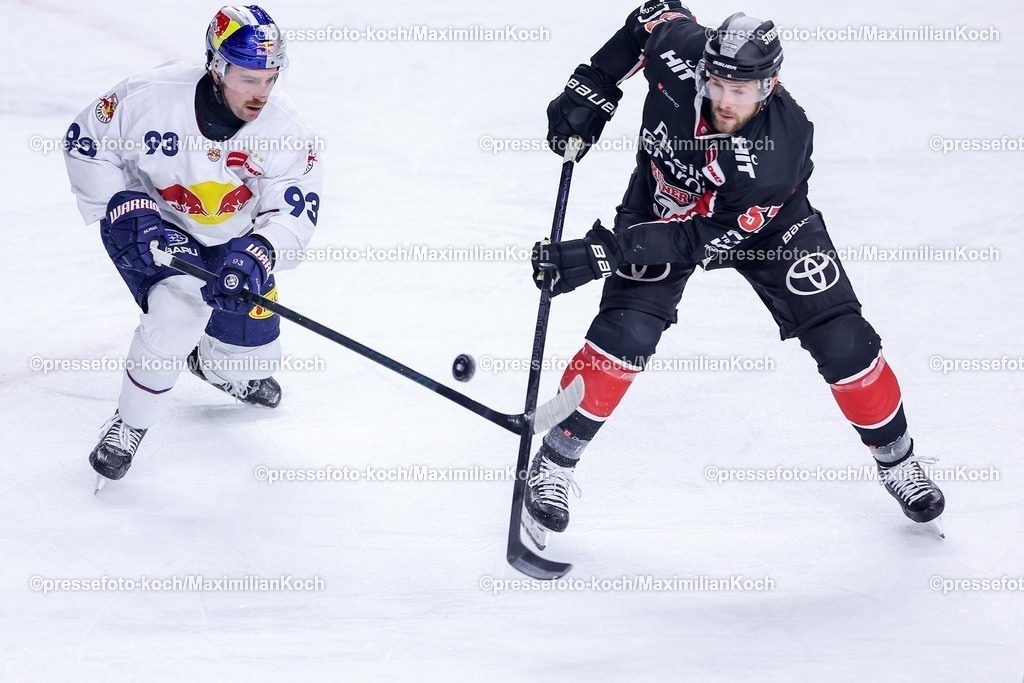 KEC28012501027 | 28.01.2025, Eishockey, DEL, Kölner Haie - EHC Red Bull München, Spieltag 41, Lanxess-Arena Köln: Maximilian Kastner (EHC München #93) im Zweikampf gegen Brady Austin (Kölner Haie #57)