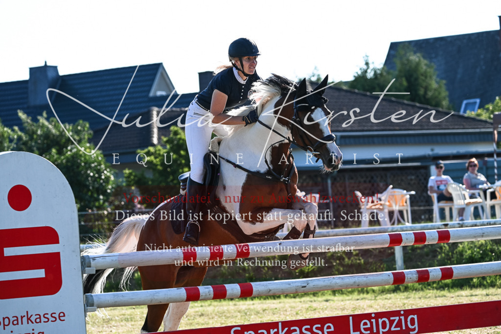 DSC_2853 | Pferde- und Turnierfotografie in Westsachsen. Pferdeportraits, Auftragszeichnungen und intuitive Kunst.