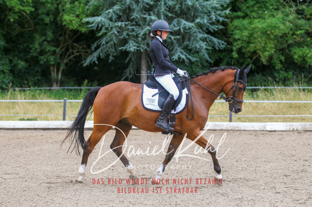 DKP47238 | Turniersportfotografie; Pferdefotografie; Dressurfotografie