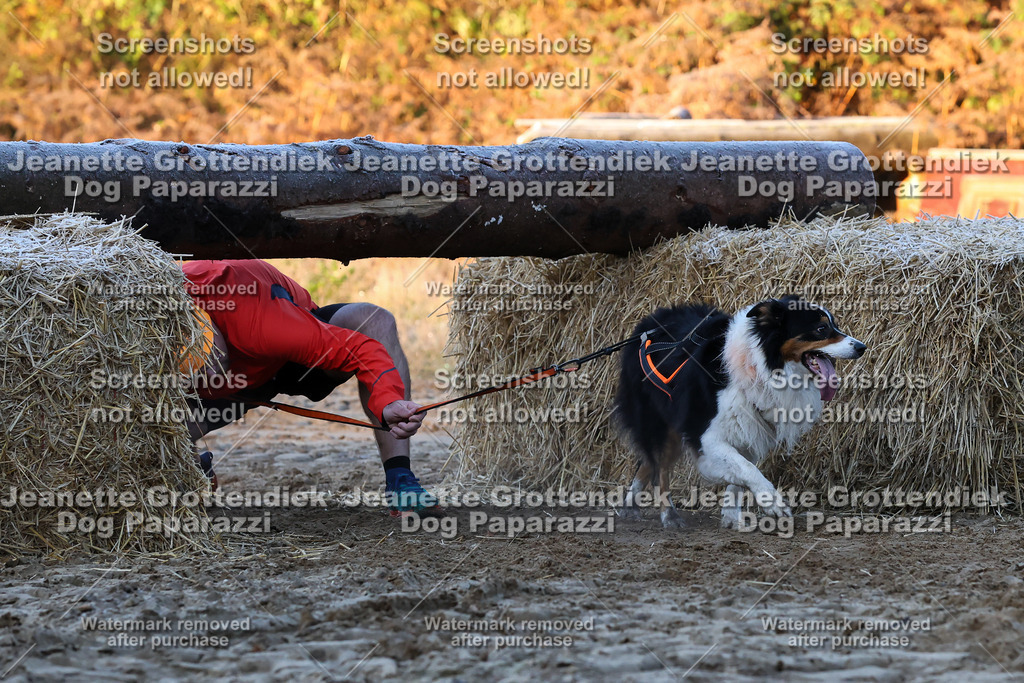 Dog Paparazzi - Strongdog 10-25-430 | Dog Paparazzi Jeanette Grottendiek Fotografie & Videografie - Realisiert mit Pictrs.com