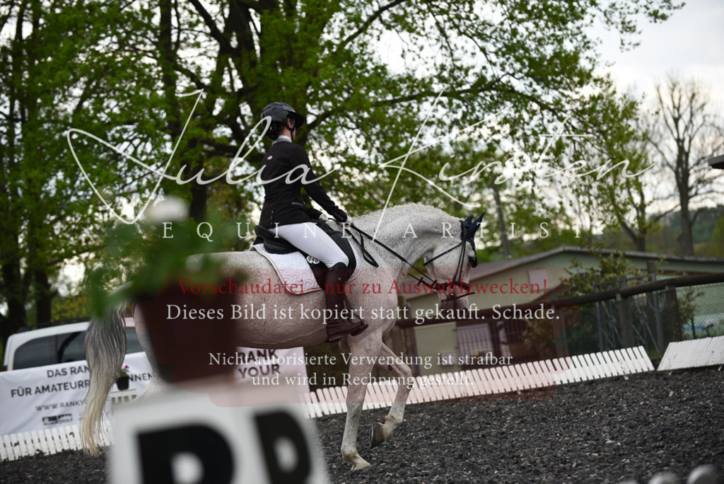 20230513_JK-Röhrsdorf-15-340 | Pferde- und Turnierfotografie in Westsachsen. Pferdeportraits, Auftragszeichnungen und intuitive Kunst.