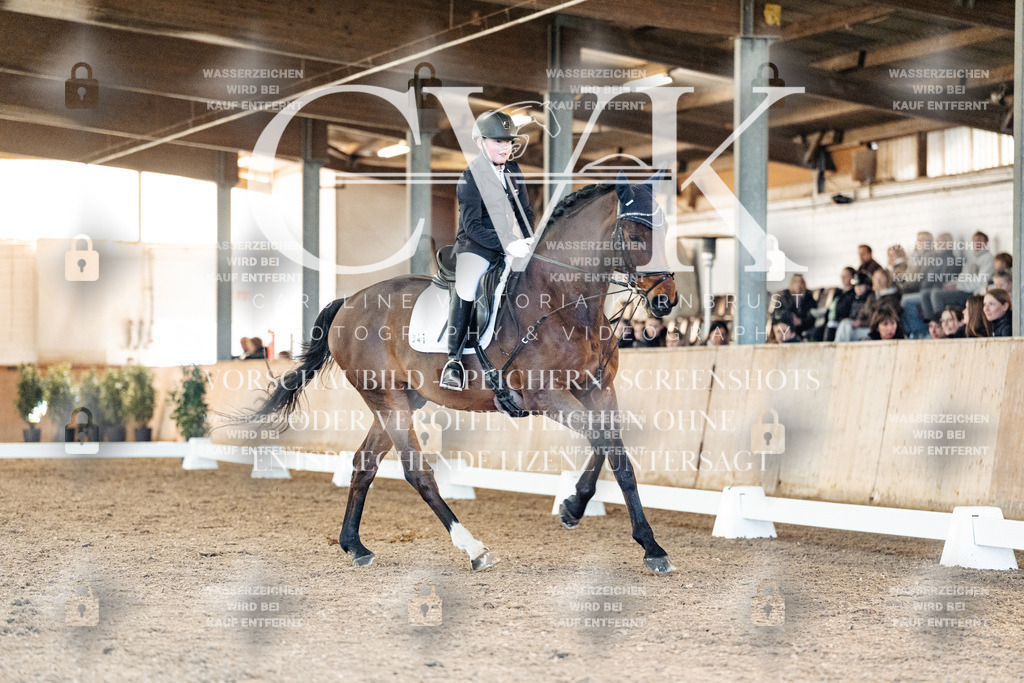 CK907280 | Turnierfotografie Pferdefotografie Trier Rheinland-Pfalz Pferdesport Reitsport Tierfotografie Sportfotografie Pferdevideo Pferdevideografie Equestrianvideography equestrianphotography  - Realisiert mit Pictrs.com