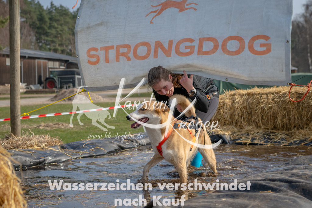 _ZZ92139 | kk-dogfotos